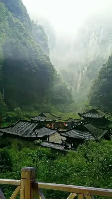 Overview of study environment